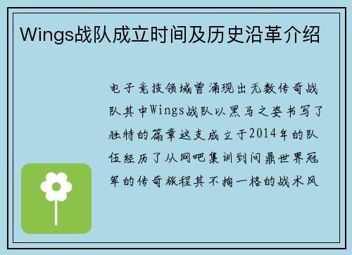 Wings战队成立时间及历史沿革介绍