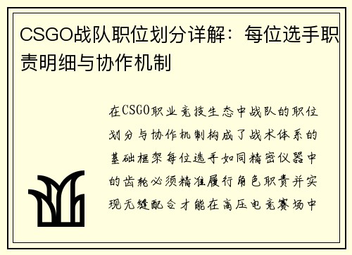 CSGO战队职位划分详解：每位选手职责明细与协作机制